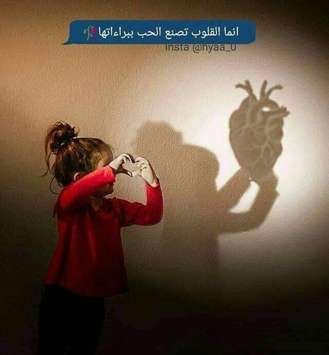 ���� ���� ������ �� ���� ������