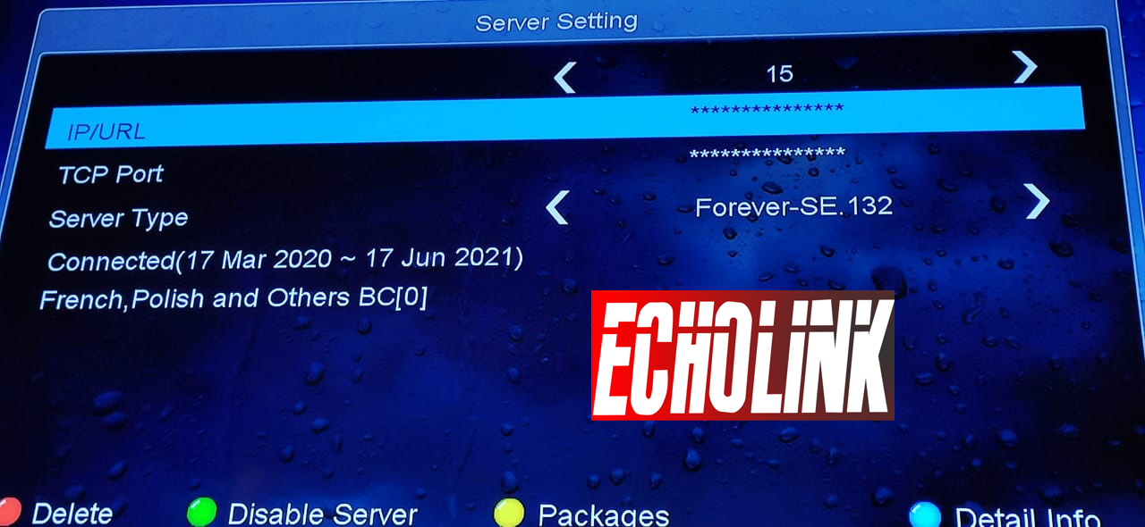 p_1574thapv1 تحديثات بالجملة لأجهزة أيكولينك ECHOLINK FOREVER ترقية CCCAM + FOREVER 132