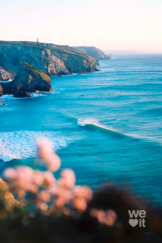 ���� ���� ������ �� ���� ������