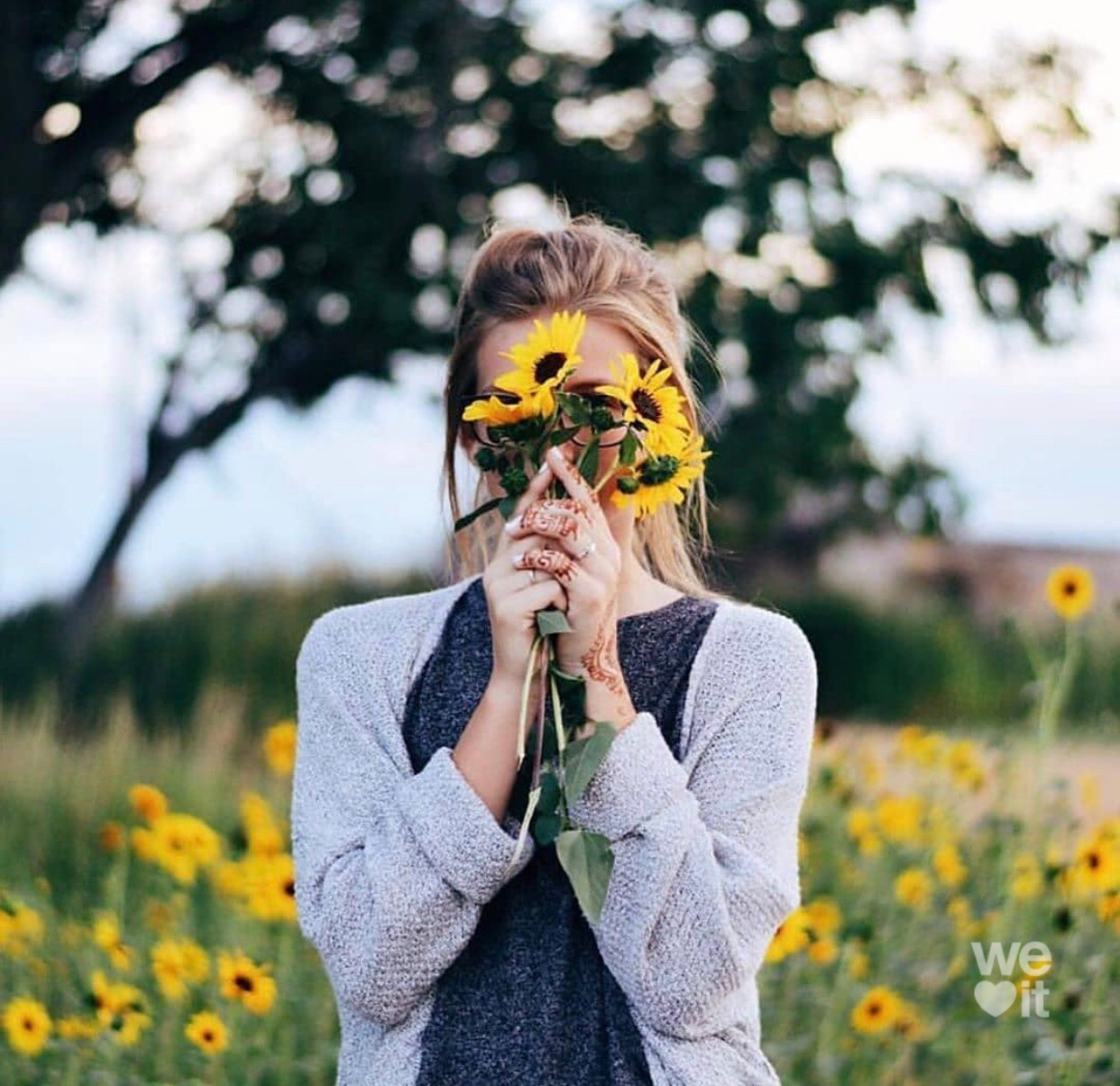 ���� ���� ������ �� ���� ������