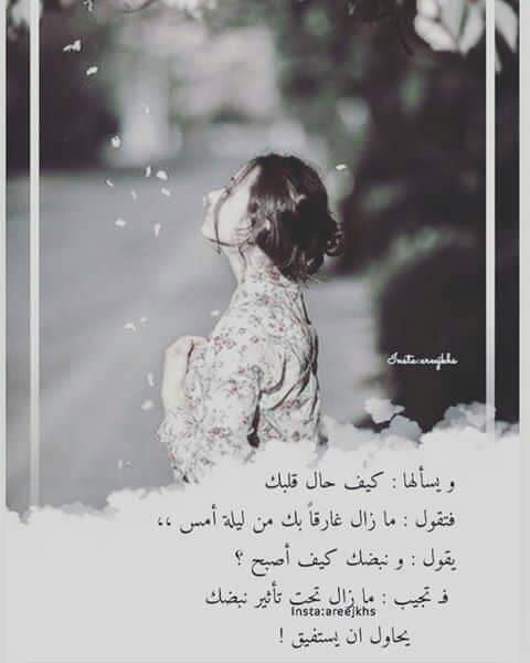 ���� ���� ������ �� ���� ������