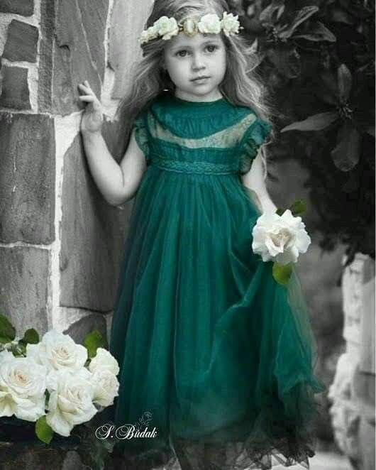 ���� ���� ������ �� ���� ������