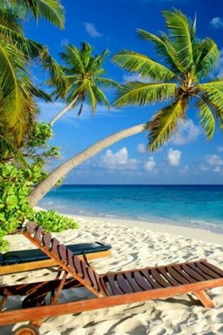 ���� ���� ������ �� ���� ������