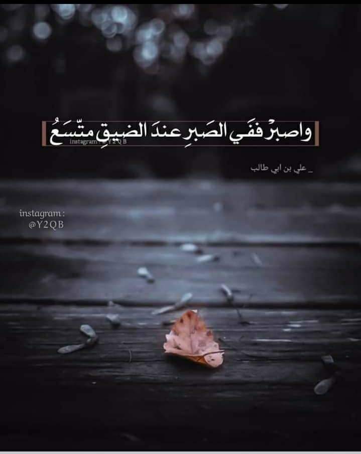 ���� ���� ������ �� ���� ������