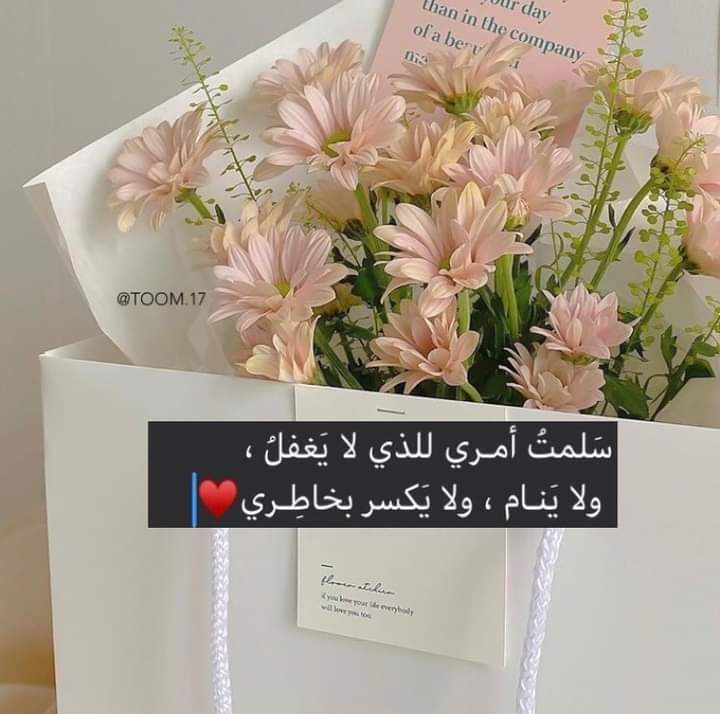 ���� ���� ������ �� ���� ������