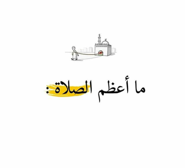 ���� ���� ������ �� ���� ������