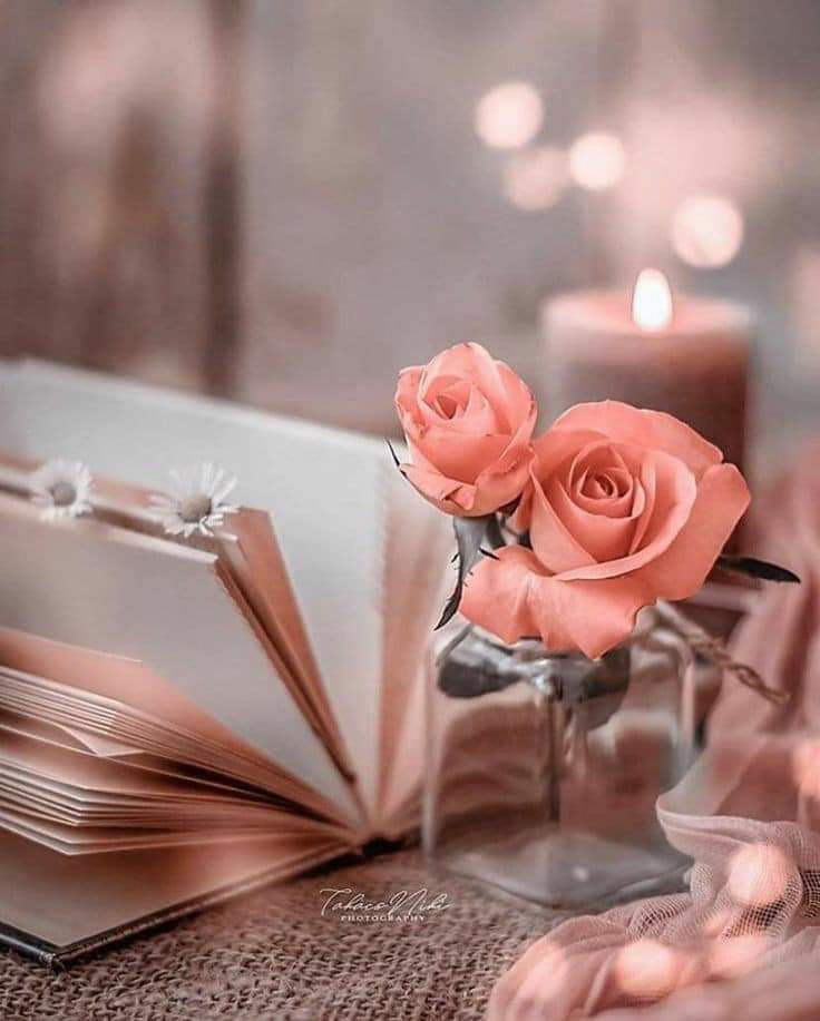 ���� ���� ������ �� ���� ������