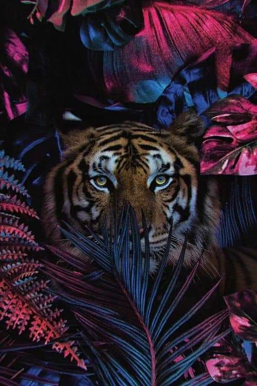 ���� ���� ������ �� ���� ������