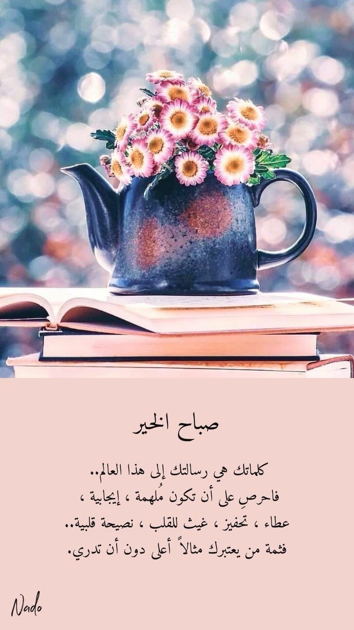 ���� ���� ������ �� ���� ������