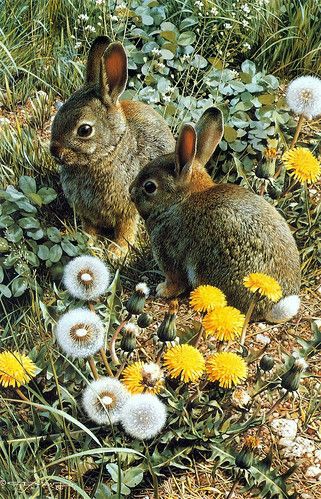 ���� ���� ������ �� ���� ������