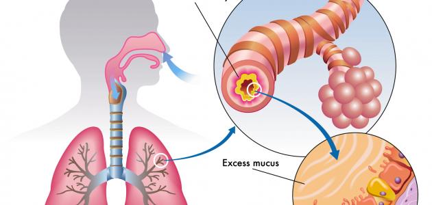 ����� ������ p_22303u3ui0.jpeg