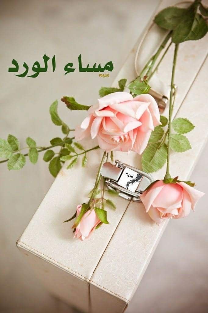 ``~~~~صباح الخير````^مساء النور - صفحة 92 P_2236he9w01