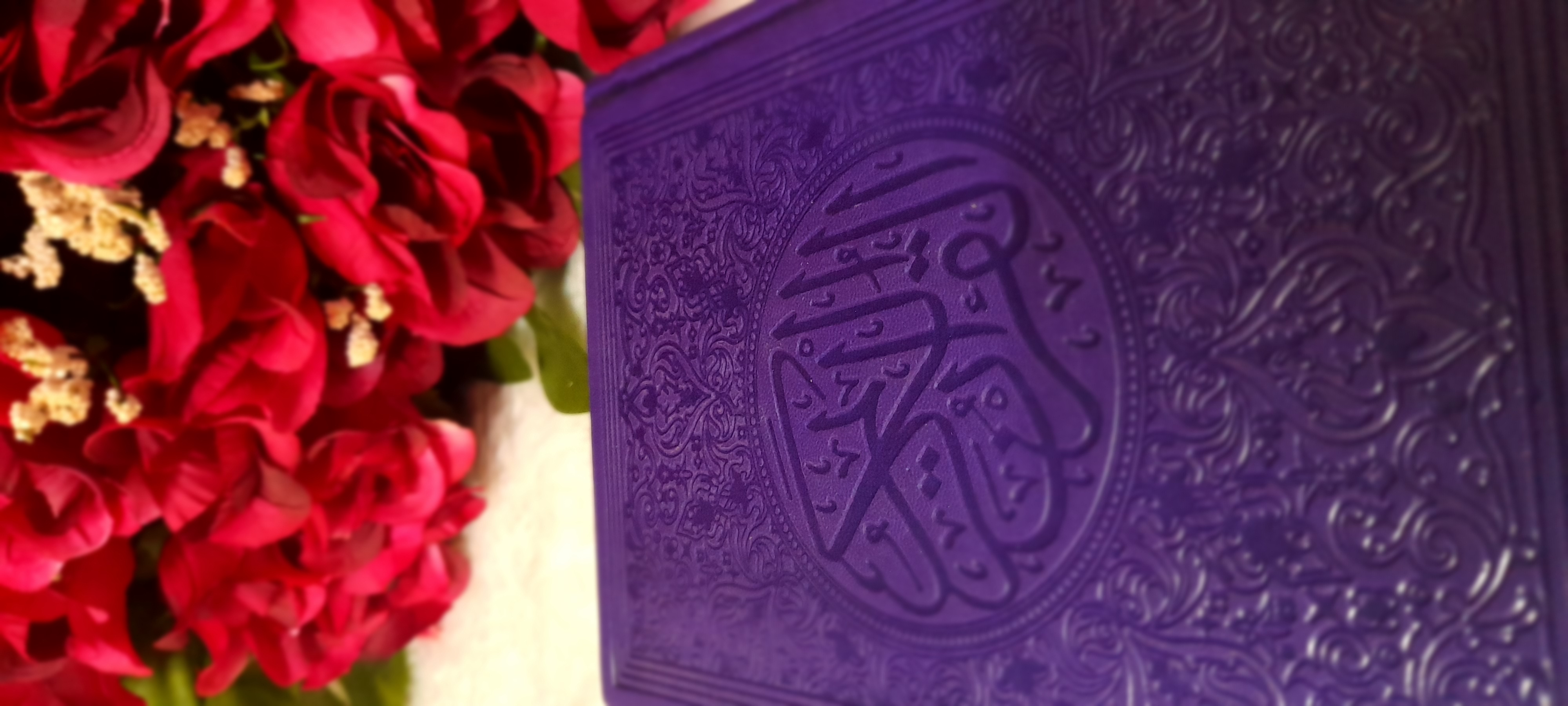 ���� ���� ������ �� ���� ������