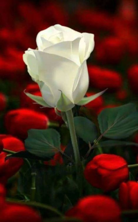 ���� ���� ������ �� ���� ������