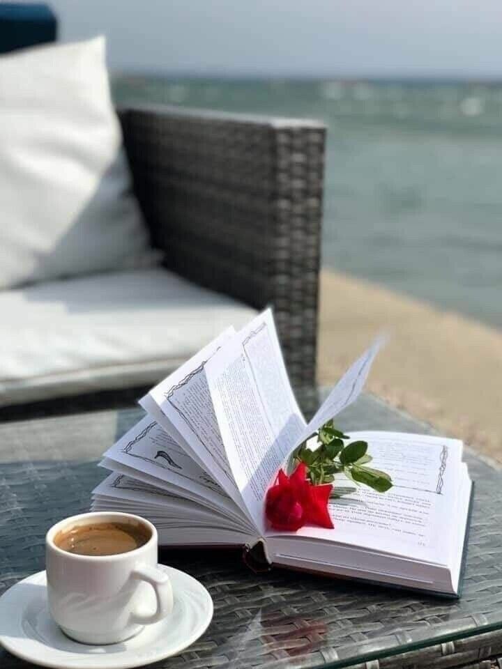 ���� ���� ������ �� ���� ������