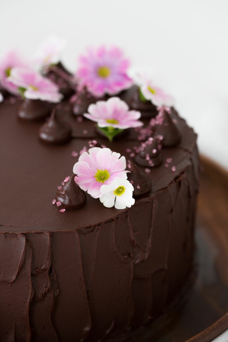 ���� ���� ������ �� ���� ������