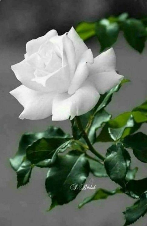 ���� ���� ������ �� ���� ������