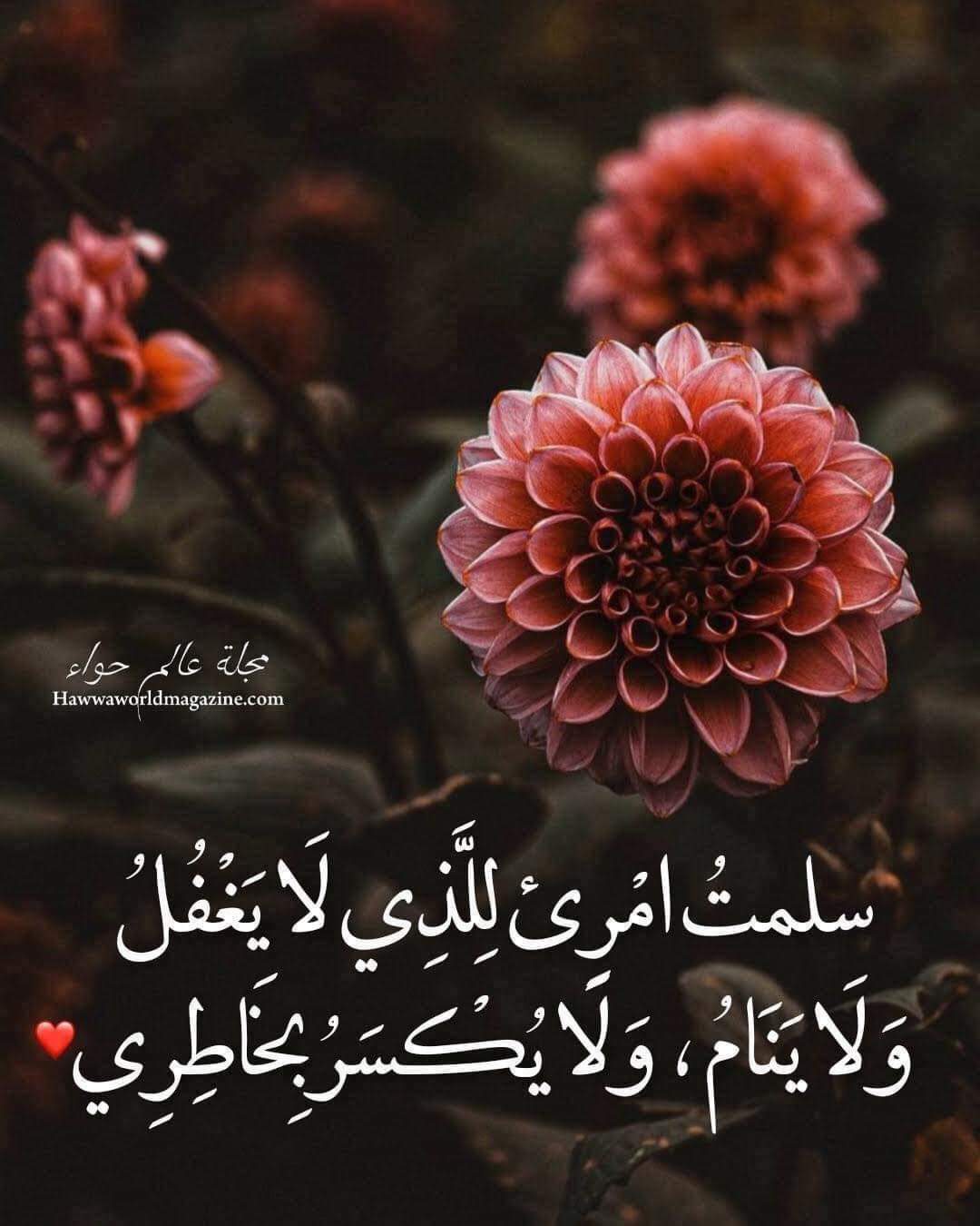 ���� ���� ������ �� ���� ������