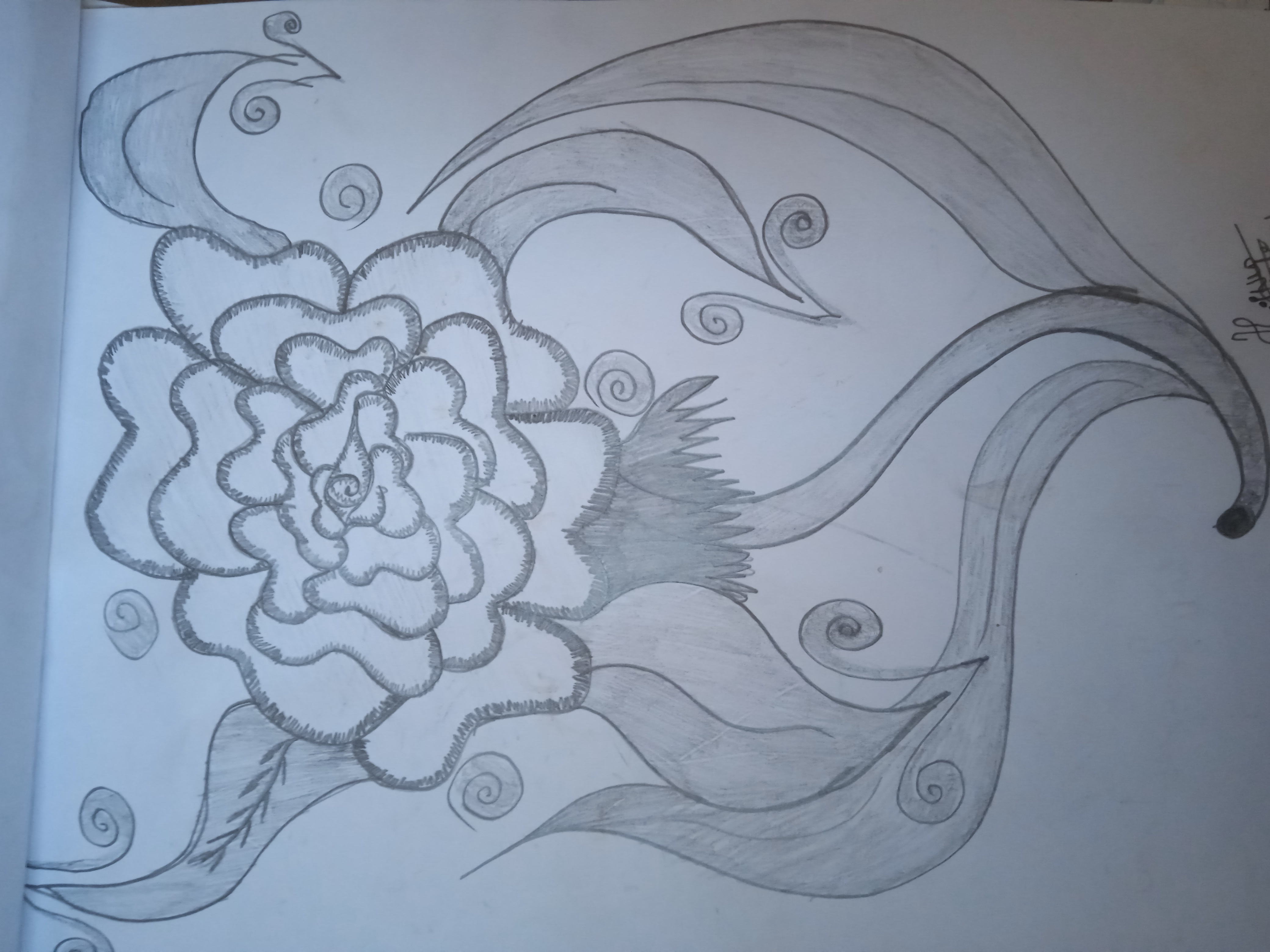 ���� ���� ������ �� ���� ������