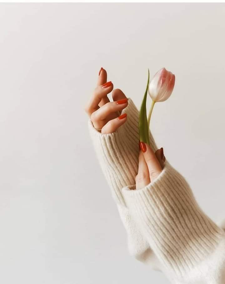 ���� ���� ������ �� ���� ������