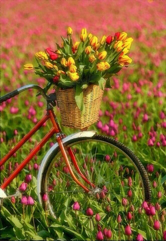 ���� ���� ������ �� ���� ������