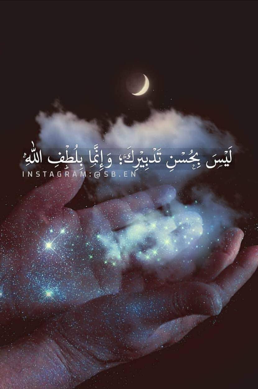 ���� ���� ������ �� ���� ������