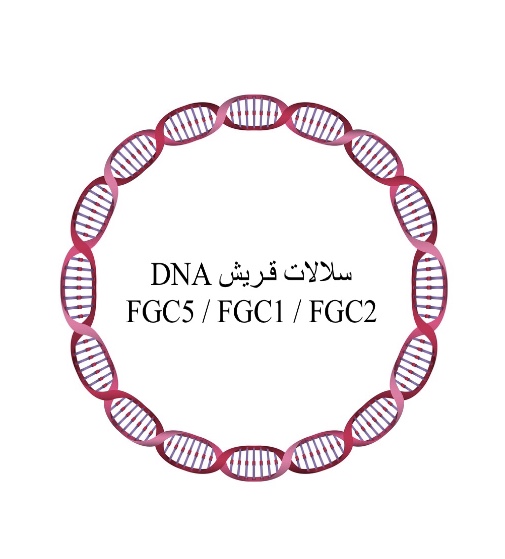 الحمض النووي DNA والأنساب - صفحة 2 P_2704ra70j0