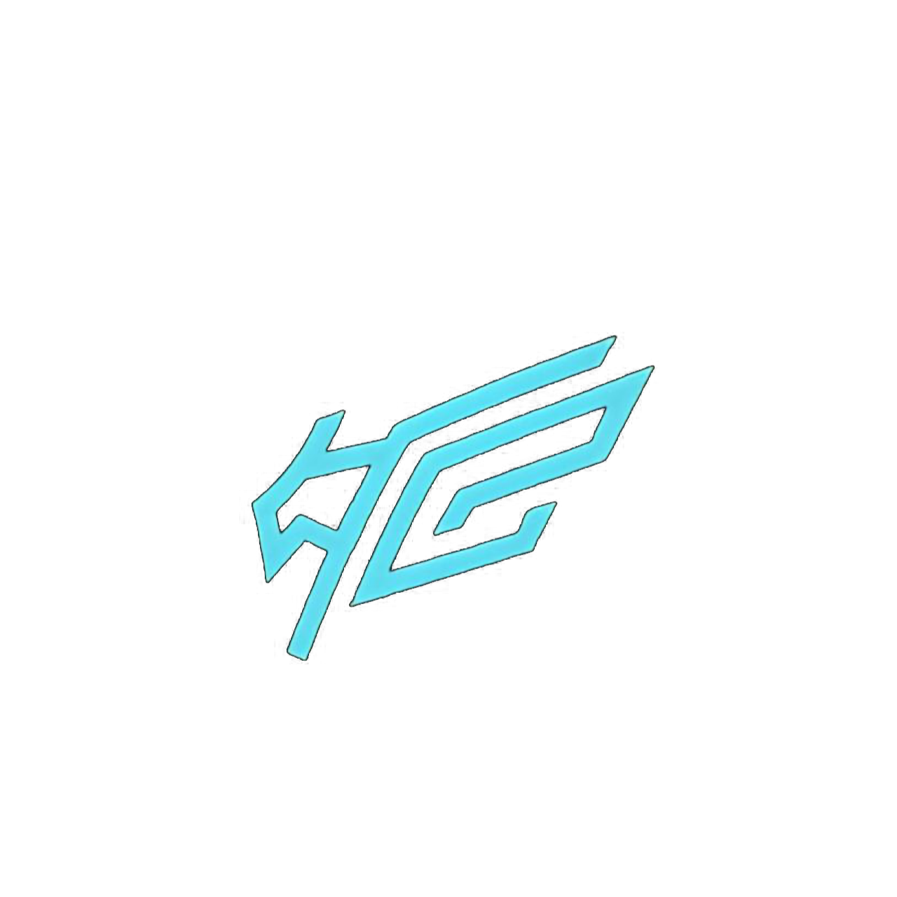 IZS Group Logo
