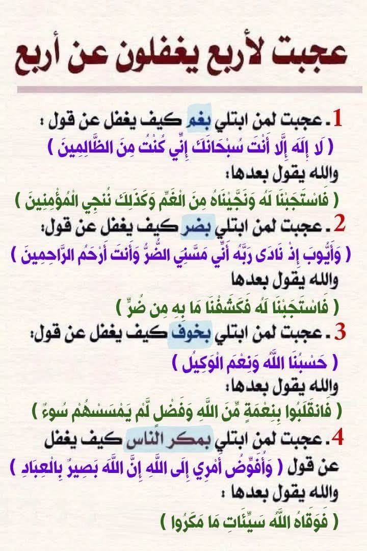 ������ ���� ������ �� ���� ������