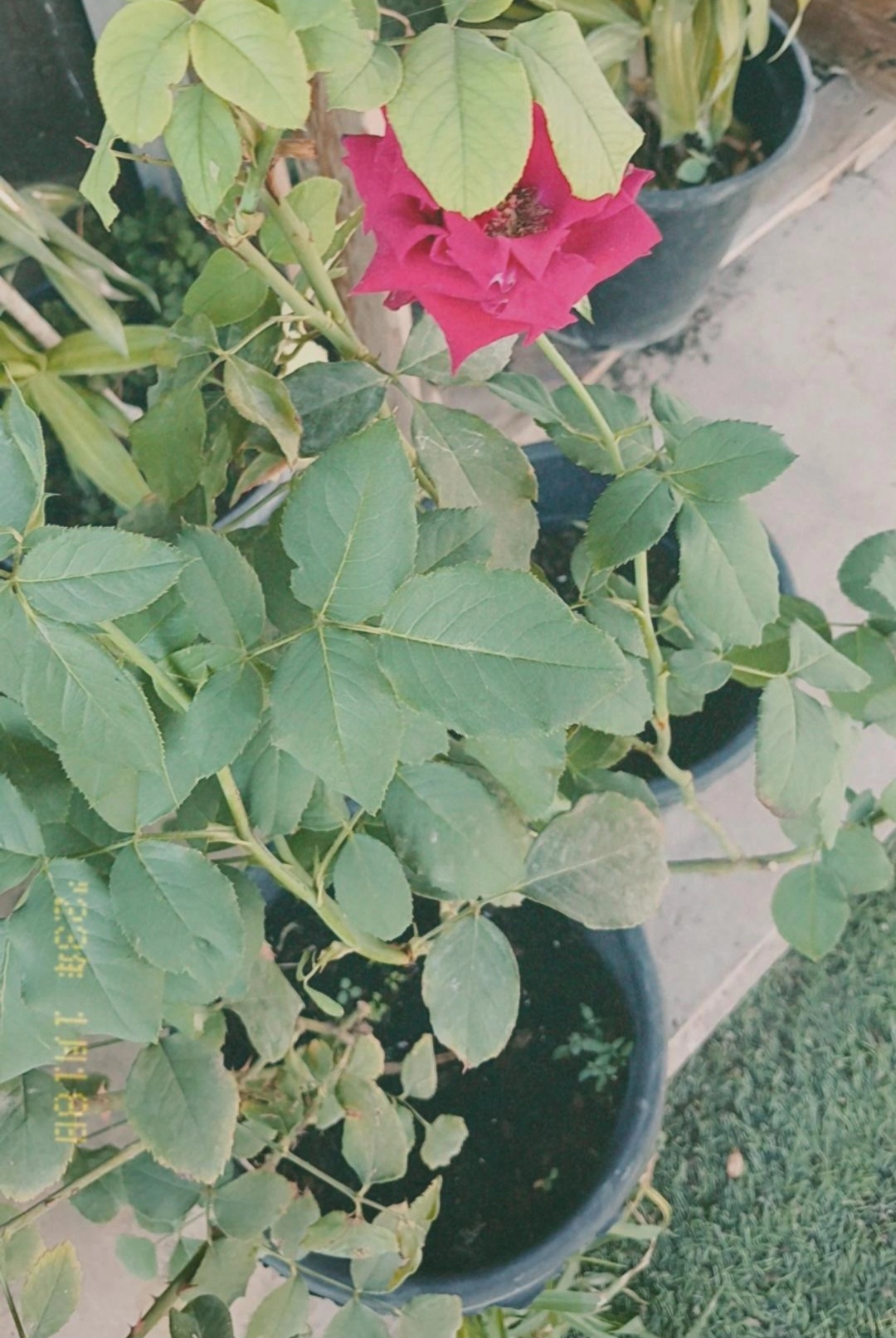 p_35027yb5v0.jpg
