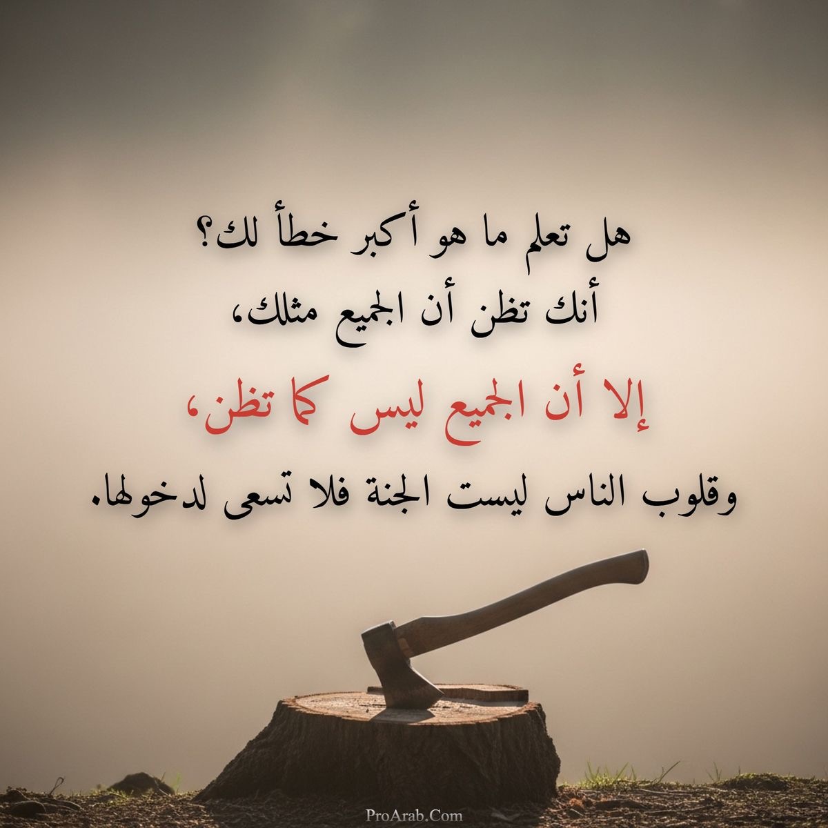 ������ ���� ������ �� ���� ������