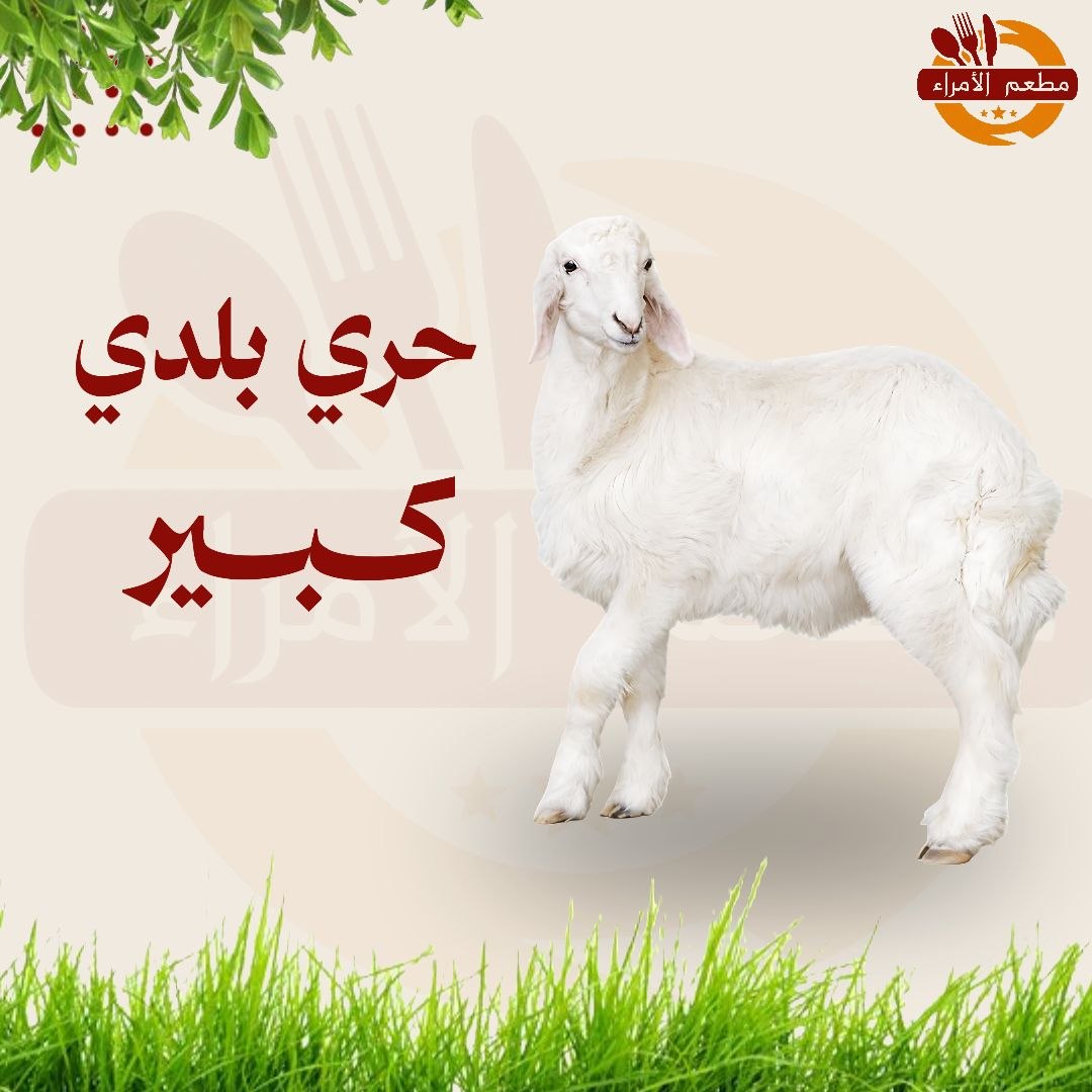 حري بلدي كبير